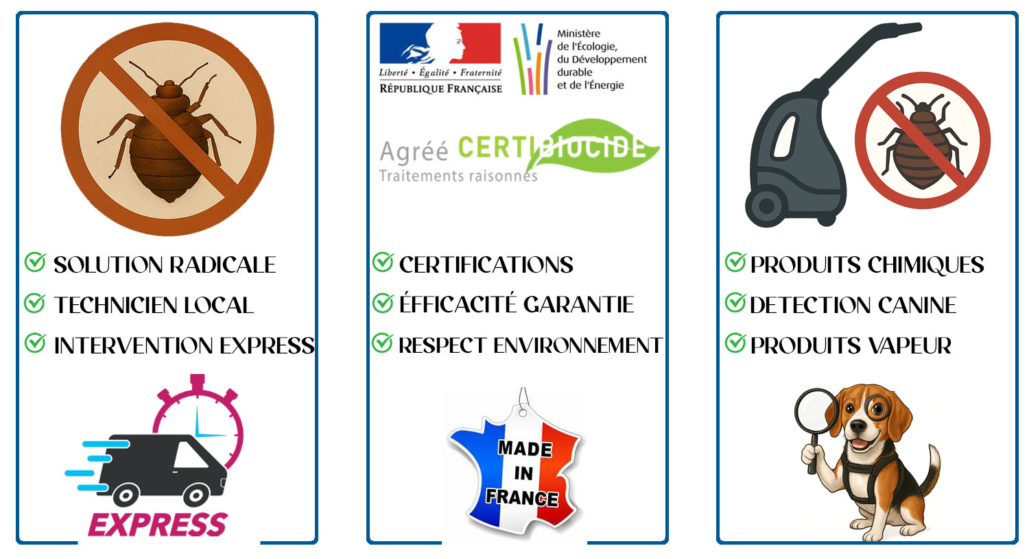 Punaises de Lit Chatenay Malabry